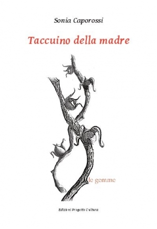 Taccuino della madre, Sonia Caporossi