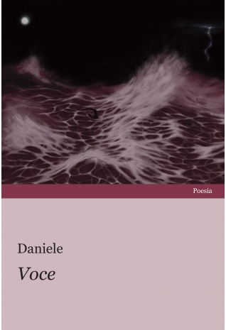 Voce - Daniele