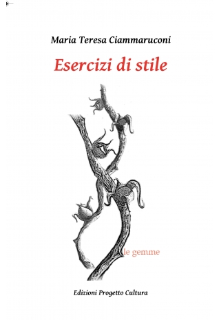 Esercizi di stile - Maria Teresa Ciammaruconi