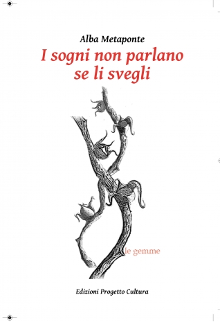 I sogni non parlano se li svegli - Alba Metaponte