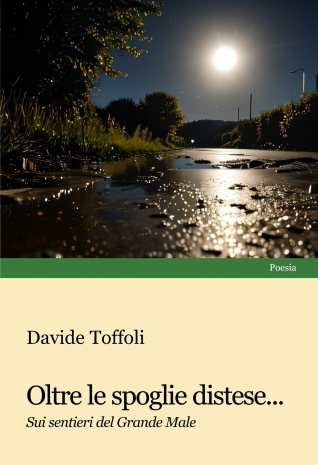 Oltre le spoglie distese - Davide Toffoli